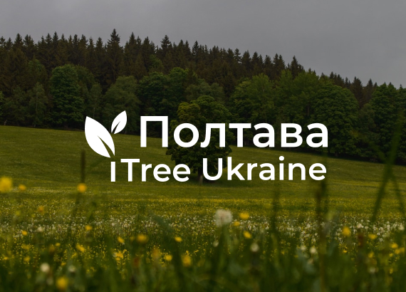 Про проєкт